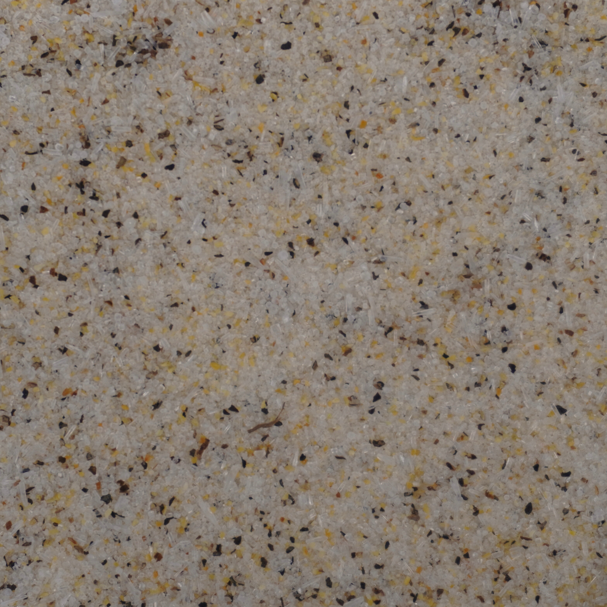 That Base All Purpose Seasoning